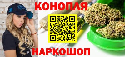 амф Новозыбков