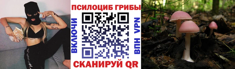 закладки  Тара  Галлюциногенные грибы GOLDEN TEACHER 
