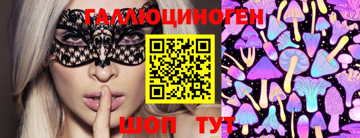 Тара  Псилоцибиновые грибы Psilocybine cubensis  Вход с VPN 