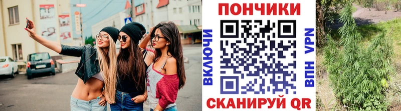 Конопля LSD WEED  Тара 